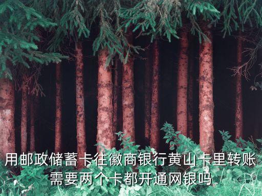用郵政儲(chǔ)蓄卡往徽商銀行黃山卡里轉(zhuǎn)賬需要兩個(gè)卡都開通網(wǎng)銀嗎