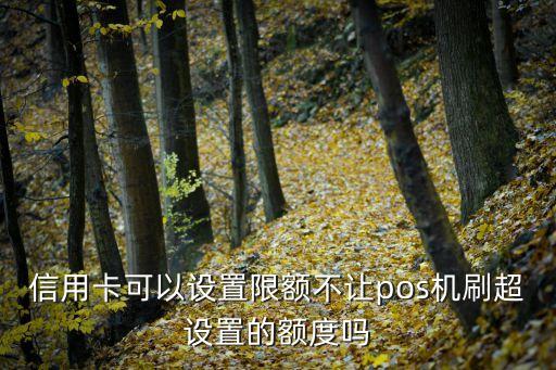 怎么讓poss機(jī)刷不起信用卡，如何讓交通銀行信用卡的額度不能一次性用pos機(jī)刷出來(lái)