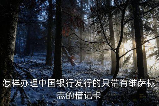 怎樣辦理中國銀行發(fā)行的只帶有維薩標志的借記卡