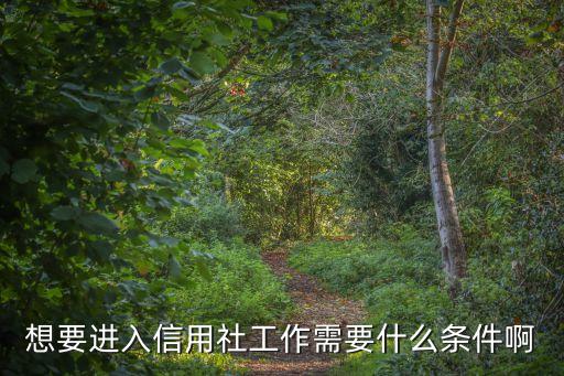 怎么進(jìn)貴州農(nóng)村信用社，如何在貴州農(nóng)村信用社網(wǎng)上銀行注冊(cè)