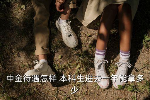 中金待遇怎樣 本科生進(jìn)去一年能拿多少