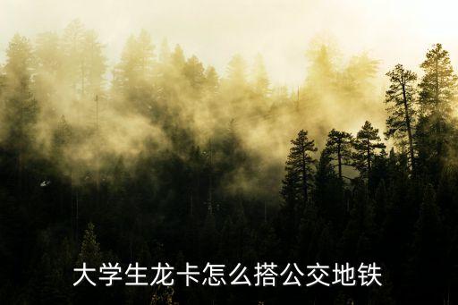 大學生龍卡怎么搭公交地鐵