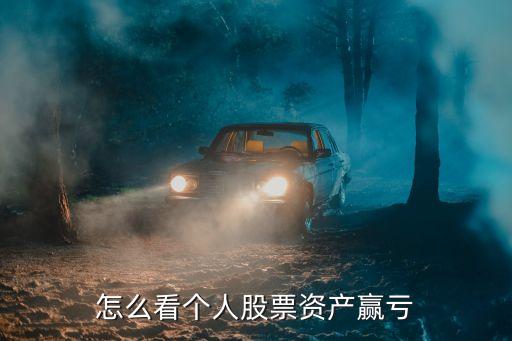 怎么看個人股票資產(chǎn)贏虧