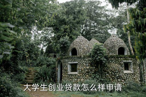 大學生創(chuàng)業(yè)貸款怎么樣，大學生創(chuàng)業(yè)貸款怎么樣申請