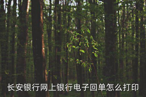 長安銀行網(wǎng)上銀行電子回單怎么打印