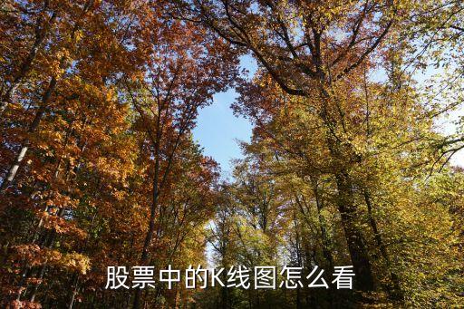 股票中的K線圖怎么看