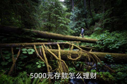 年存5000怎么理財，現(xiàn)在手里有五千元怎樣理財