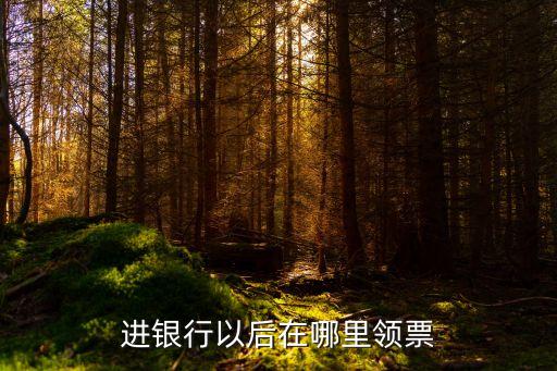 進(jìn)銀行后怎么拿票，進(jìn)銀行以后在哪里領(lǐng)票