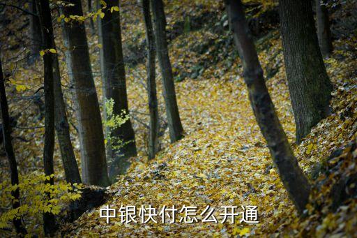 中銀快付怎么開通
