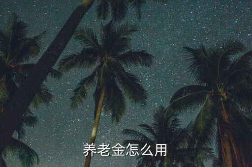 養(yǎng)老金怎么用