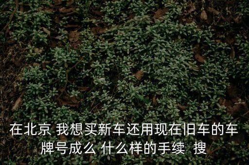 在北京 我想買新車還用現(xiàn)在舊車的車牌號成么 什么樣的手續(xù)  搜