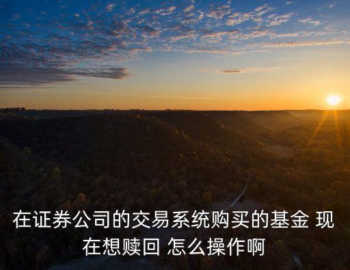 在證券公司的交易系統(tǒng)購(gòu)買的基金 現(xiàn)在想贖回 怎么操作啊