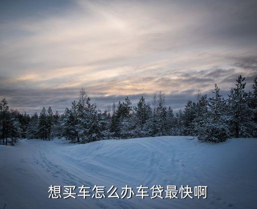 汽車貸款怎么快，怎么用車貸款