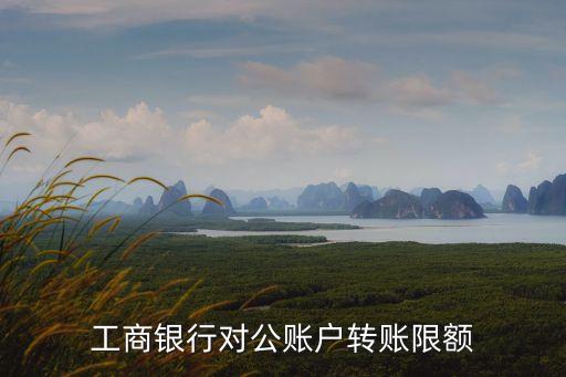 對公賬戶轉(zhuǎn)賬怎么轉(zhuǎn)賬限額，對公賬戶轉(zhuǎn)私人賬戶最多可以轉(zhuǎn)多少錢