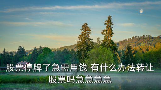 股票停牌了急需用錢 有什么辦法轉(zhuǎn)讓股票嗎急急急急
