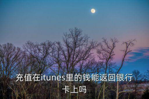 充值在itunes里的錢能返回銀行卡上嗎