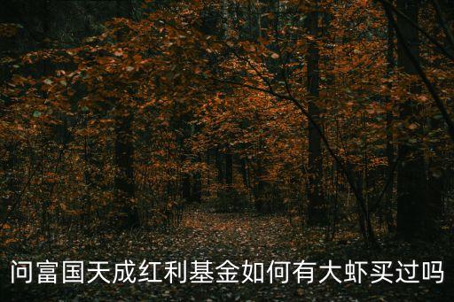 問富國天成紅利基金如何有大蝦買過嗎