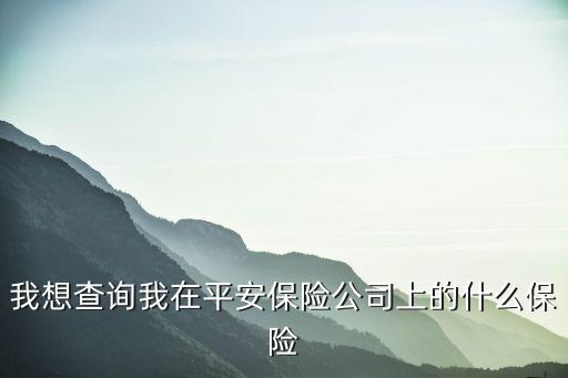 我想查詢我在平安保險(xiǎn)公司上的什么保險(xiǎn)