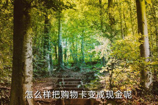 怎么樣把購物卡變成現(xiàn)金呢