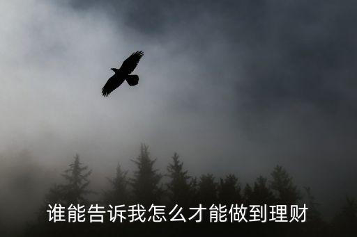 怎么才能達(dá)到理財(cái)目標(biāo)，怎樣實(shí)現(xiàn)合理的理財(cái)規(guī)劃
