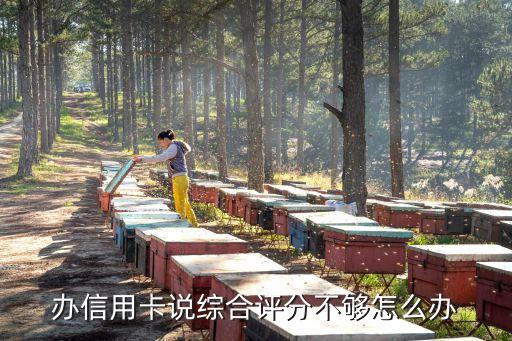 信用卡綜合信用評分不足怎么辦，申請信用卡 綜合評分不足怎么辦