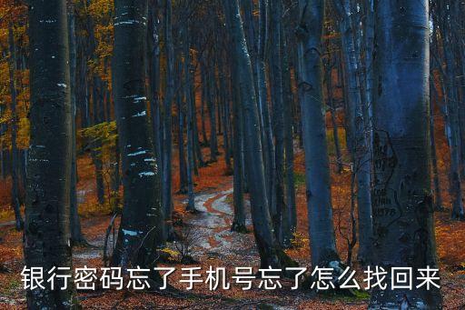 銀行密碼忘了手機(jī)號忘了怎么找回來