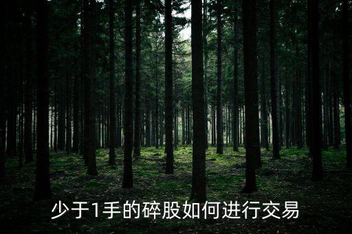 不足一手的股票怎么賣，少于1手的碎股如何進(jìn)行交易