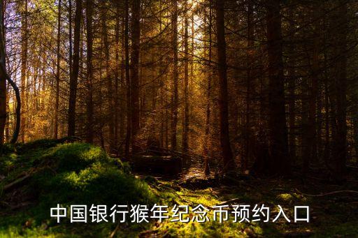 猴幣怎么在銀行預(yù)約，中國銀行猴年紀(jì)念幣預(yù)約入口