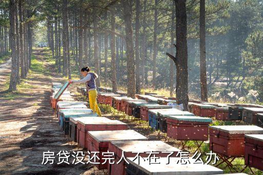 房貸未還完身故怎么辦，房貸沒還完還貸人死亡了未辦房照該如何辦理