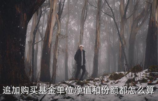 追加基金收益怎么算，追加基金分額贖回時怎么算本和利