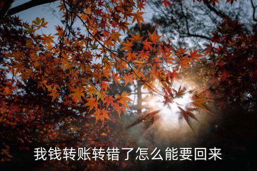 轉(zhuǎn)賬轉(zhuǎn)錯了怎么追回，轉(zhuǎn)賬轉(zhuǎn)錯了怎么辦