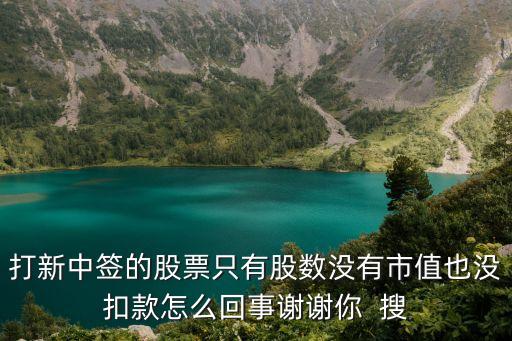 打新中簽的股票只有股數(shù)沒有市值也沒扣款怎么回事謝謝你  搜