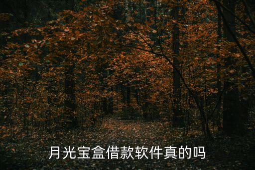 月光寶盒借款軟件真的嗎