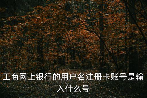 工商網(wǎng)上銀行的用戶名注冊(cè)卡賬號(hào)是輸入什么號(hào)