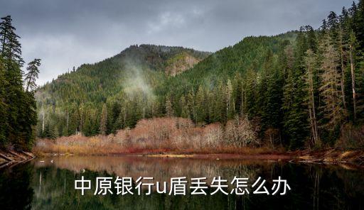 中行網(wǎng)盾沒了怎么補辦，中行U盾不見了