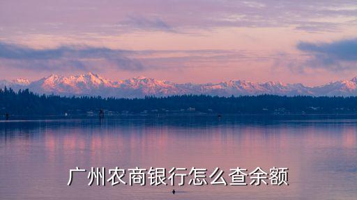 廣州農(nóng)商銀行怎么查余額