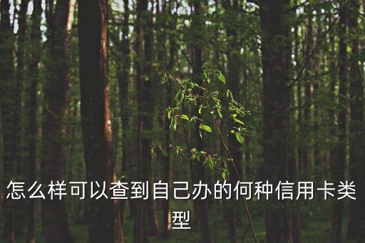 怎么查詢信用卡類型，怎么樣可以查到自己辦的何種信用卡類型