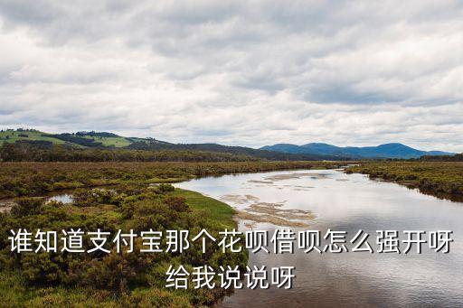 誰知道支付寶那個(gè)花唄借唄怎么強(qiáng)開呀給我說說呀