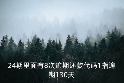 24期里面有8次逾期還款代碼1指逾期130天