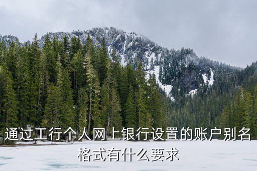 通過(guò)工行個(gè)人網(wǎng)上銀行設(shè)置的賬戶(hù)別名格式有什么要求