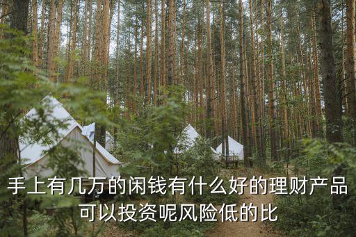 幾萬(wàn)的資金怎么理財(cái)，幾萬(wàn)塊有作些怎么樣的投資理財(cái)呢