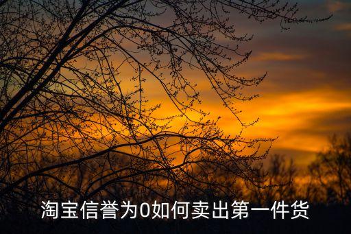 淘寶信譽(yù)為0如何賣出第一件貨