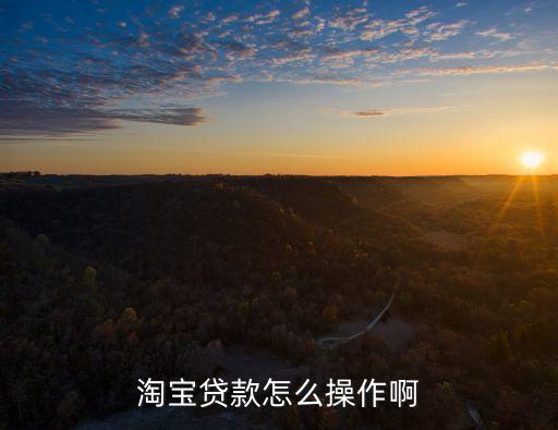 淘寶貸款怎么操作的，淘寶買家怎么貸款流程越詳細越好重謝
