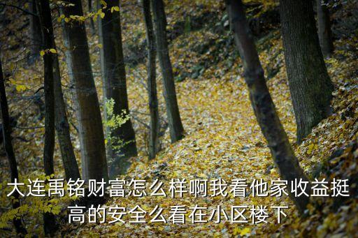 大連新銳財(cái)富怎么樣，大連stx怎么樣