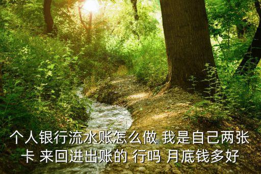 個(gè)人銀行流水賬怎么做 我是自己兩張卡 來(lái)回進(jìn)出賬的 行嗎 月底錢多好