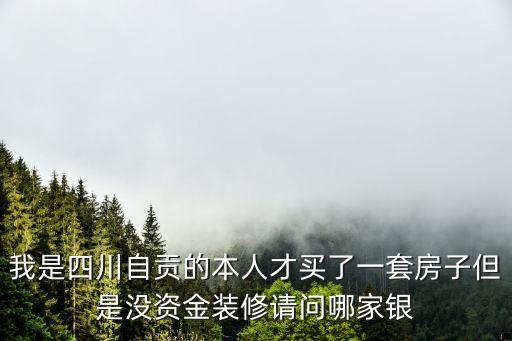 我是四川自貢的本人才買(mǎi)了一套房子但是沒(méi)資金裝修請(qǐng)問(wèn)哪家銀