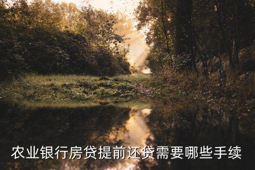 農(nóng)行提前還貸款怎么還款額度，農(nóng)業(yè)銀行提前還款怎樣計算