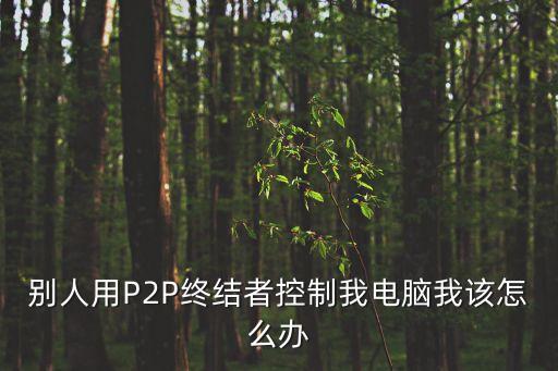 被p2p怎么辦，電腦流量被人用P2P控制了怎么辦