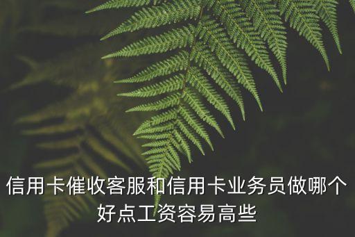 信用卡催收客服和信用卡業(yè)務(wù)員做哪個(gè)好點(diǎn)工資容易高些