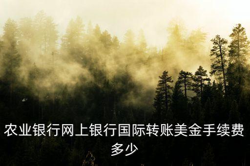 農(nóng)業(yè)銀行網(wǎng)上銀行國(guó)際轉(zhuǎn)賬美金手續(xù)費(fèi)多少
